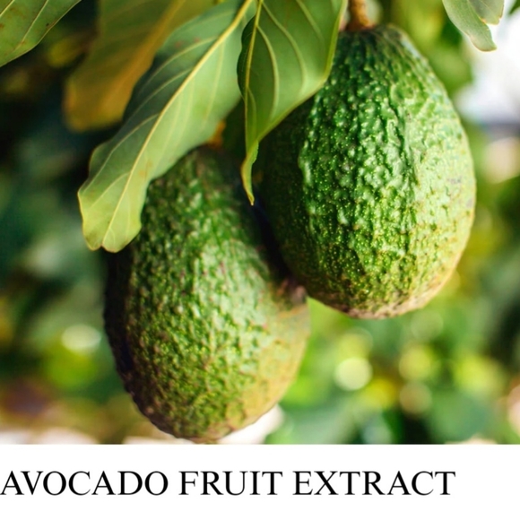 Kiehl's Avocado Nourishing Hydration Mask 0.88 oz. (25 g) - Picture 10 of 11